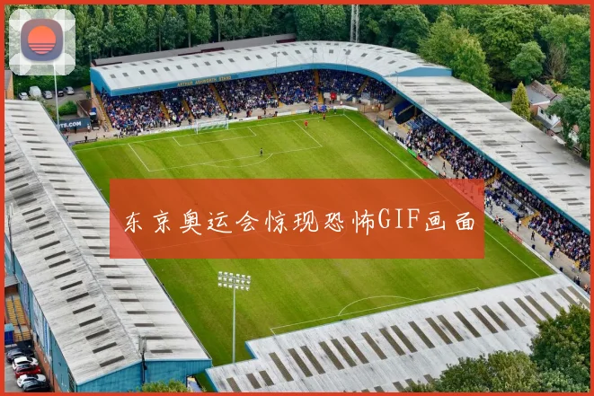 东京奥运会惊现恐怖GIF画面